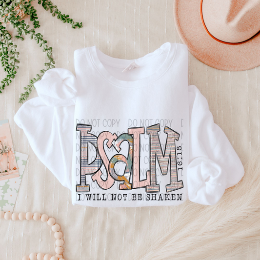 I WILL NOT BE SHAKEN - DTF TRANSFER