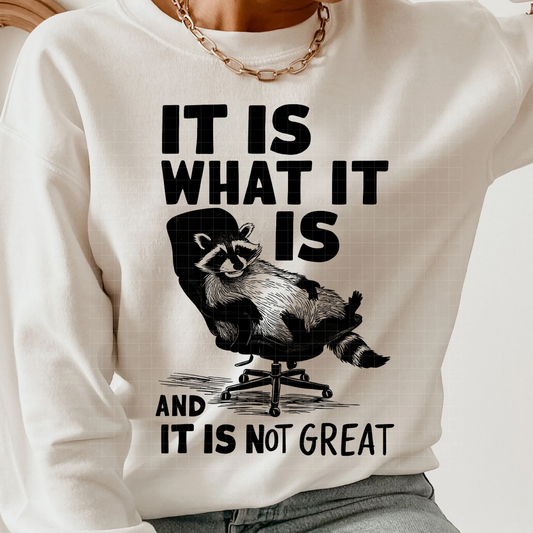 IT IS WHAT IT IS RACOON - DTF TRANSFER