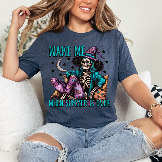 WAKE ME WHEN SUMMER IS OVER - DTF TRANSFER
