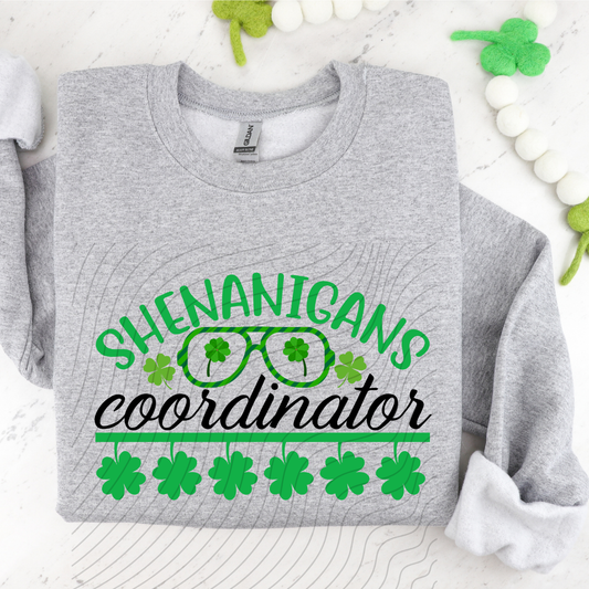 SHENANIGANS COORDINATOR - DTF TRANSFER