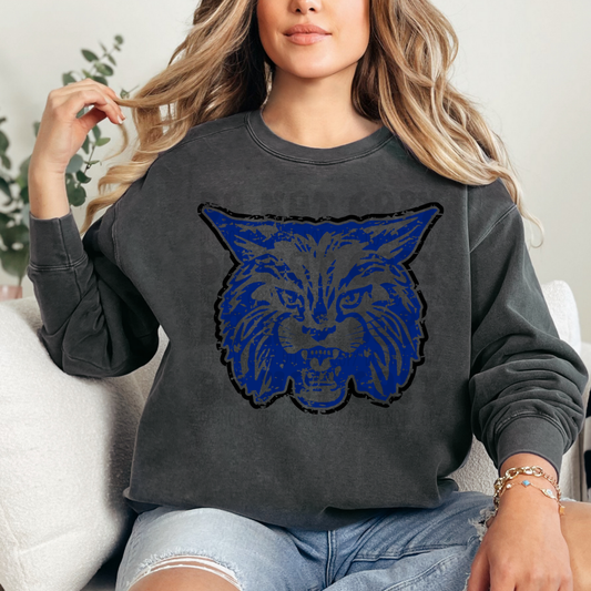 BOBCATS HEAD DISTRESSED - DTF TRANSFER