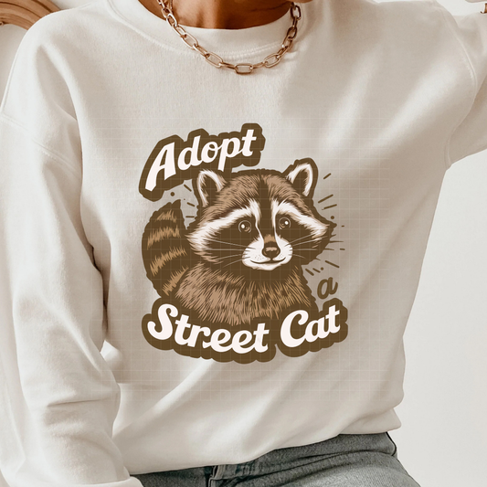 STREET CAT RACOON - DTF TRANSFER