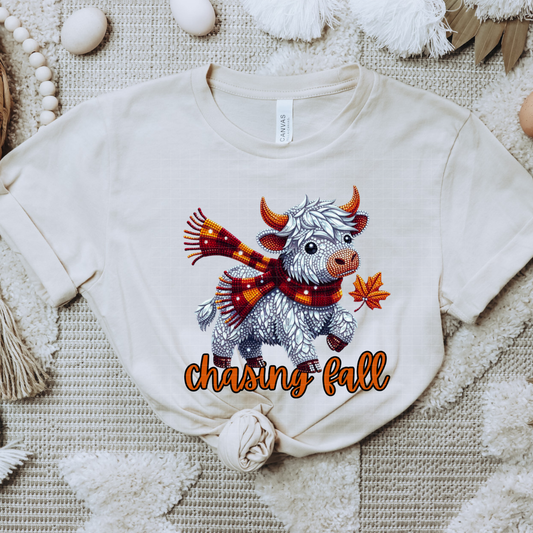 CHASING FALL - DTF TRANSFER
