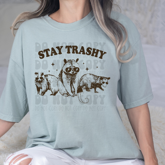 STAY TRASHY RACOON - DTF TRANSFER