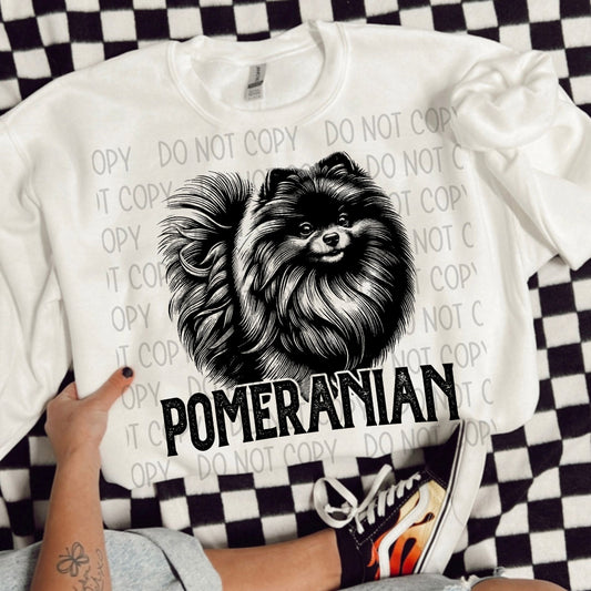 POMERANIAN DOG - DTF TRANSFER