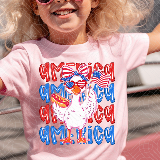 AMERICA GOOSE - DTF TRANSFER