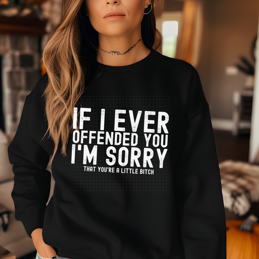 OFFENDED YOU WHT TXT - DTF TRANSFER