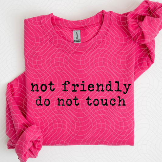 NOT FRIENDLY - DTF TRANSFER